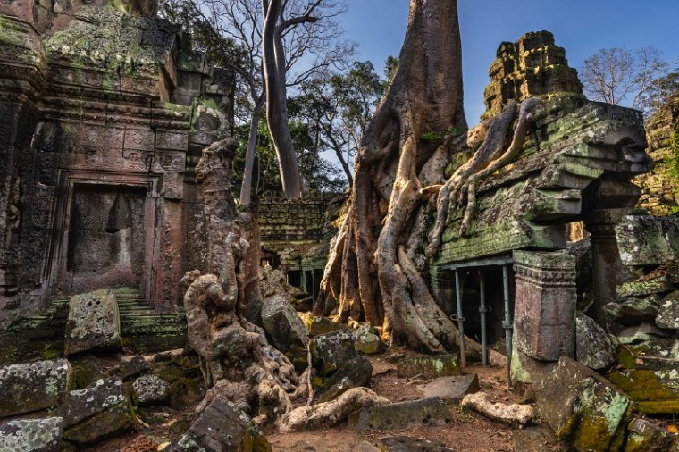 049 Cambodja, Siem Reap, Ta Prohm.jpg